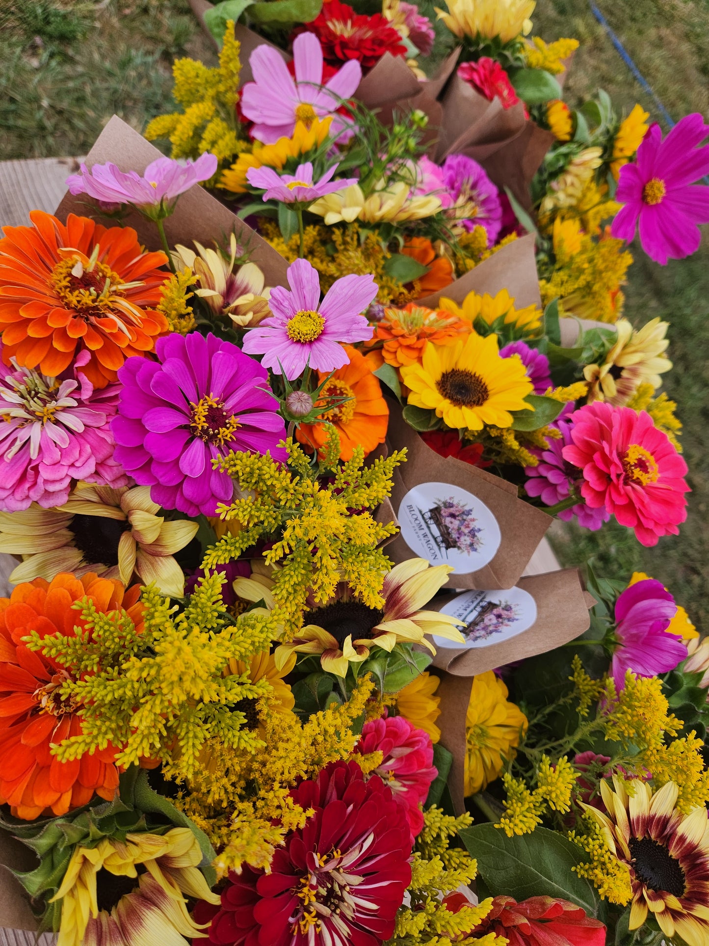 LATE SUMMER-(9 WEEK Flower CSA/Bouquet Subsciption) Aug-Oct