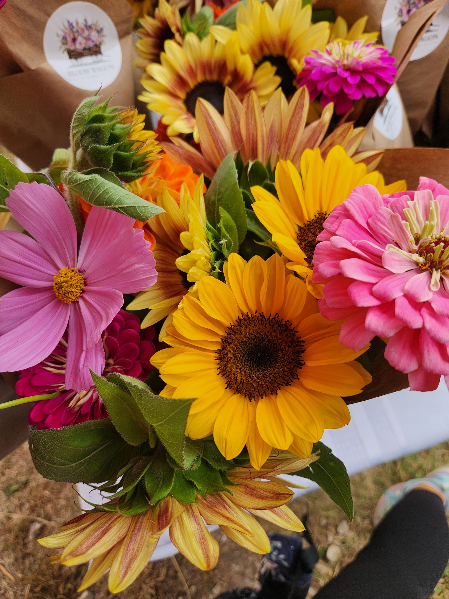 EARLY SUMMER- 8 Week Flower CSA/Bouquet Subscription(JUNE/JULY)