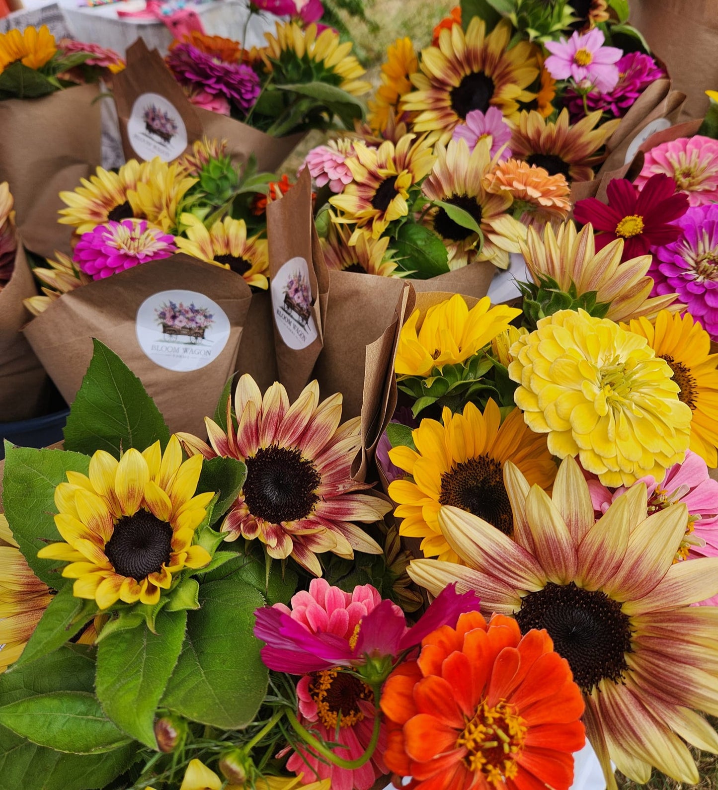 LATE SUMMER-(9 WEEK Flower CSA/Bouquet Subsciption) Aug-Oct