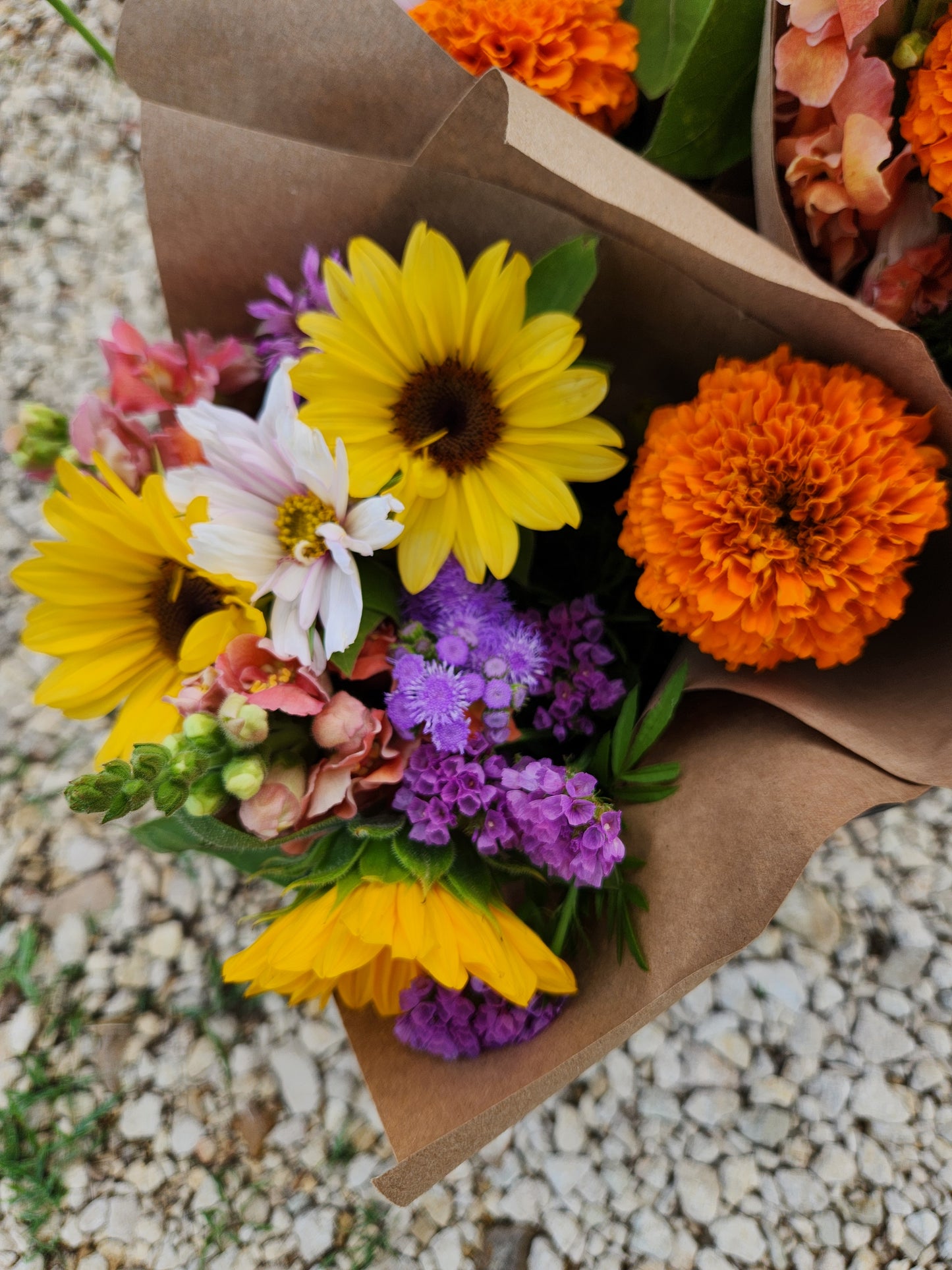 LATE SUMMER-(9 WEEK Flower CSA/Bouquet Subsciption) Aug-Oct