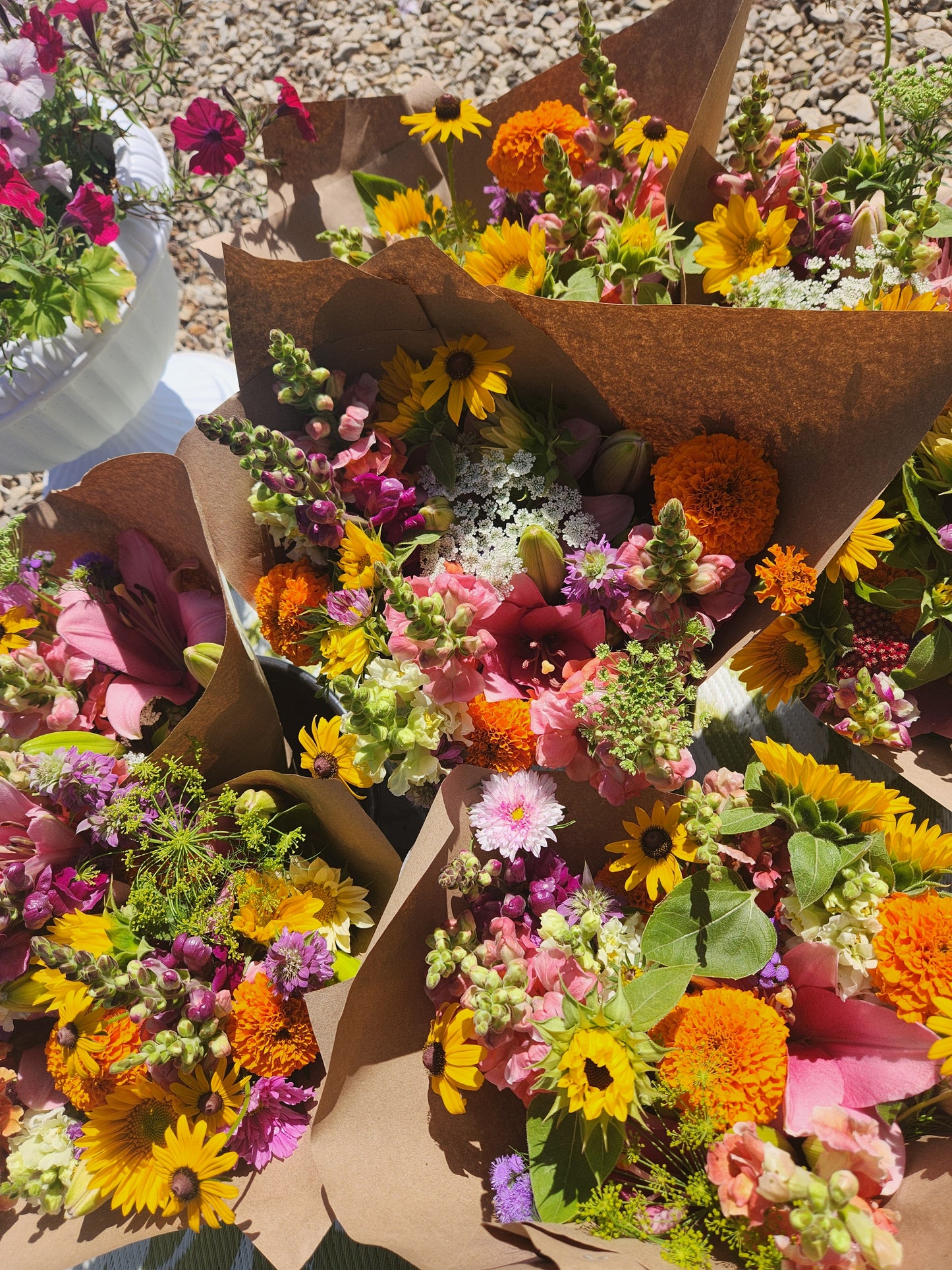 LATE SUMMER-(9 WEEK Flower CSA/Bouquet Subsciption) Aug-Oct