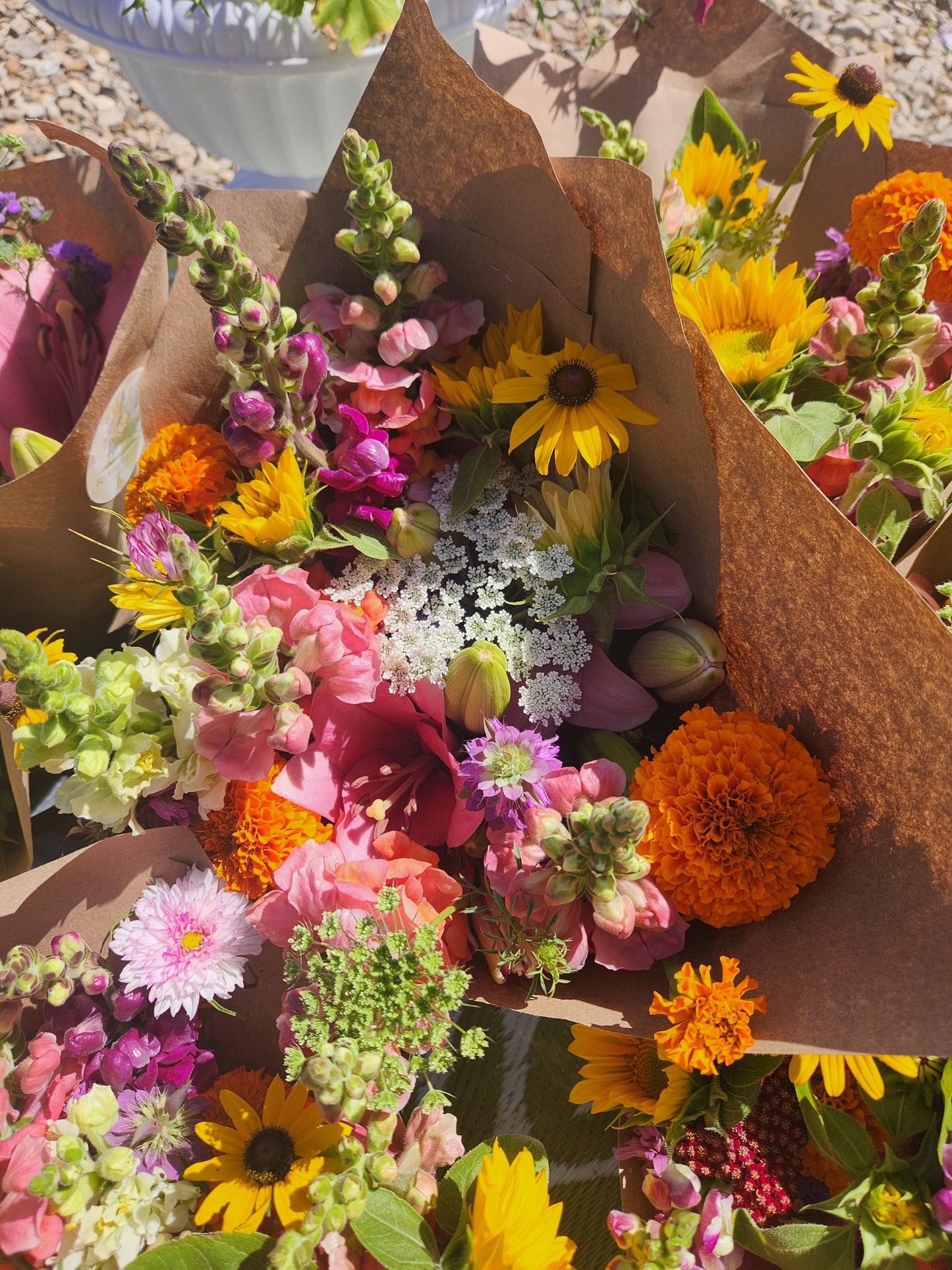 LATE SUMMER-(9 WEEK Flower CSA/Bouquet Subsciption) Aug-Oct