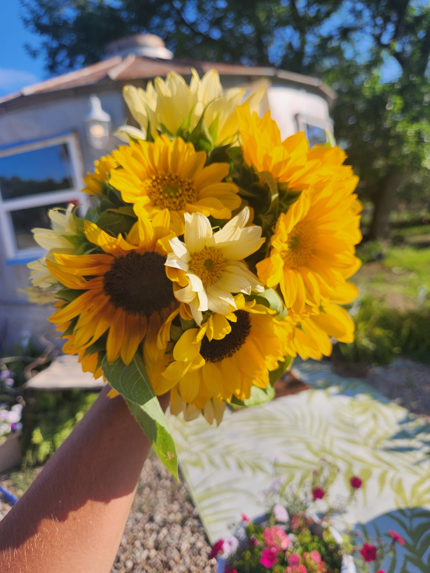 LATE SUMMER-(9 WEEK Flower CSA/Bouquet Subsciption) Aug-Oct